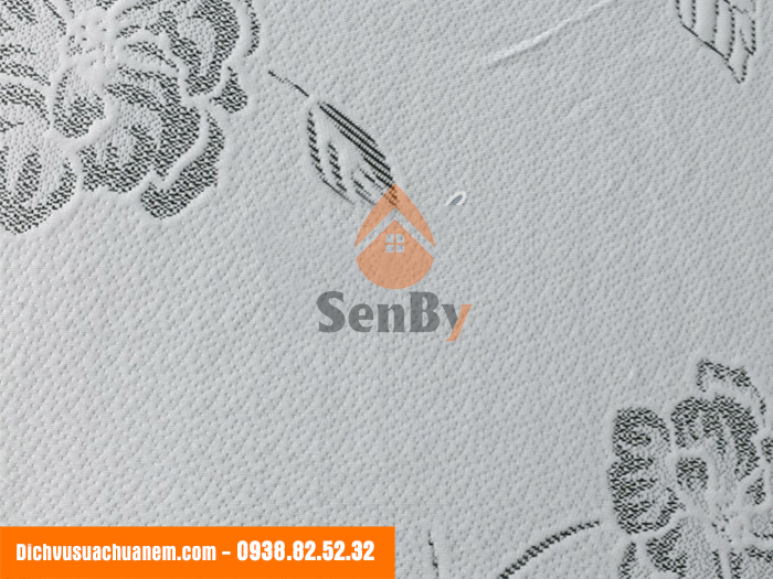 Áo Bọc Nệm Vải Gấm (Màu Đen) - Ảnh 4